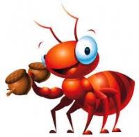 Το Μυρμήγκι
