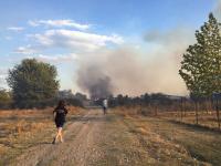Για την πυρκαγιά στο κεφαλόβρυσο