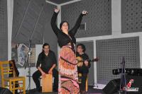 Παράσταση  FLAMENCO FALSETAS στα Τρίκαλα