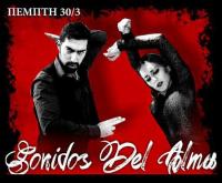 Mια μουσικοχορευτική παράσταση flamenco στα Τρίκαλα