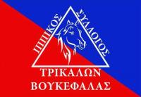 Ο  εορτασμός των Αγίων Θεοδώρων - Γιορτή και παρέλαση του Βουκεφάλα
