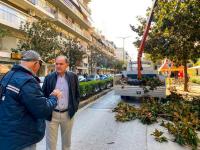 Συνεχίζεται το κλάδεμα για προστασία δέντρων και πεζών στα Τρίκαλα