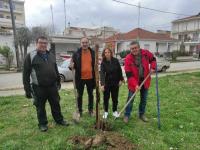 Πλατεία Αμυγδαλιών στα Τρίκαλα, με… αμυγδαλιές πλέον !