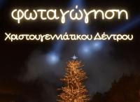 Φωταγωγείται στα Τρίκαλα το υψηλότερο φυσικό χριστουγεννιάτικο δέντρο