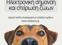  Δεύτερη φάση δωρεάν τσιπαρίσματος και στείρωσης δεσποζόμενων ζών από τον Δ. Τρικκαίων 
