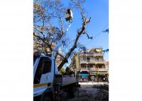Συνεχίζονται τα κλαδέματα σε Τρίκαλα και χωριά από τον Δ. Τρικκαίων