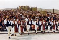 Παλαιόπυργος (Ζαβλάνια), έτος 1983
